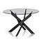 Modern glass dining table